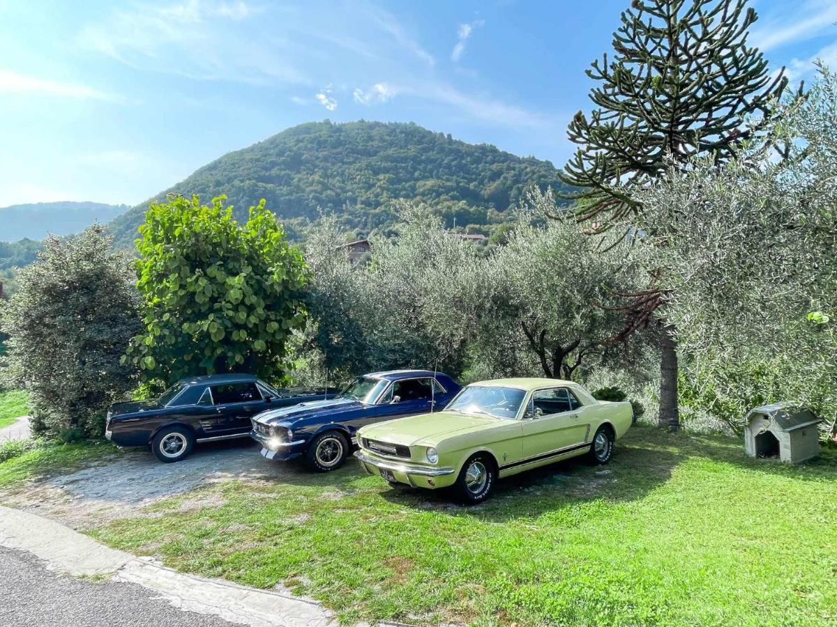 Breva Loft Tra Gli Ulivi Ed Il Lago Bellagio Luaran gambar